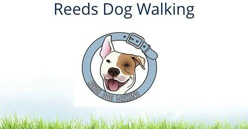Dog Walking Services In Walthamstow