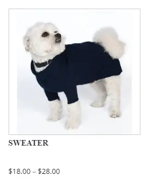 Best Sweaters For Your Dogs And Pets To Make Them More Comfortin