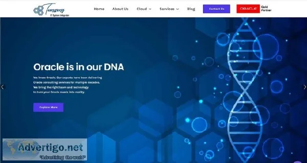 Tangenz  Top Technology Consultation firm