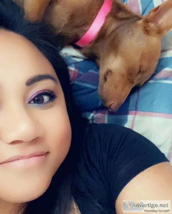 Chi-Weenie - Luna