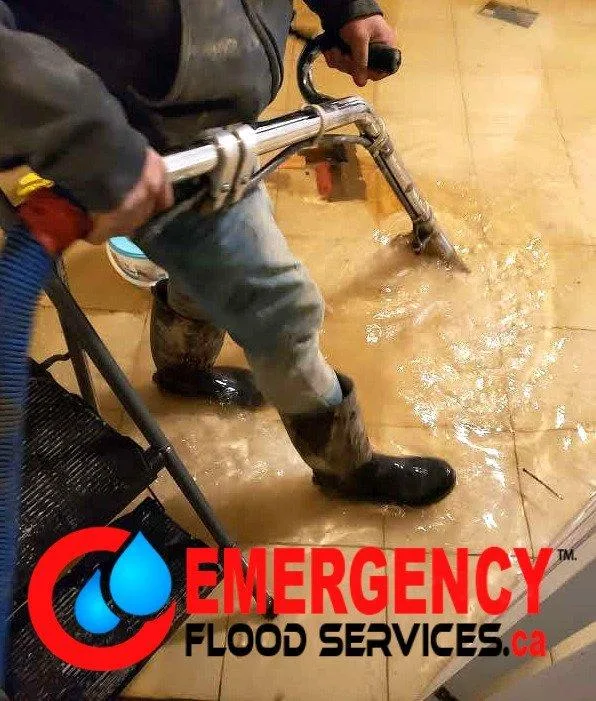Water Extraction Toronto  emergencyfloodservic es.ca