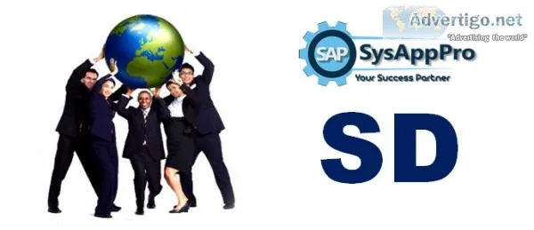 SAP SD Training Institute in Gurgaon