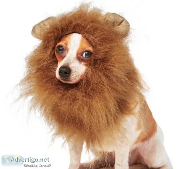 Lion Mane Dog and Cat Costume