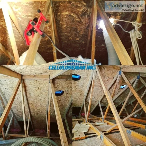 Insulation Removal Expert in Toronto Canada.