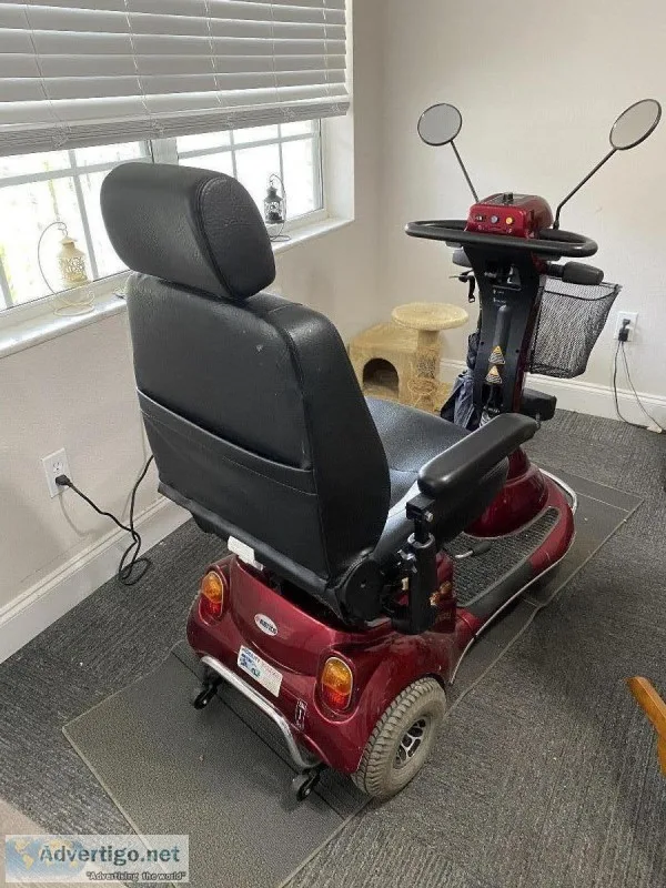 Electric scooter