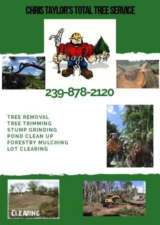 Forestry Mulching Pond Digging Tree Removal