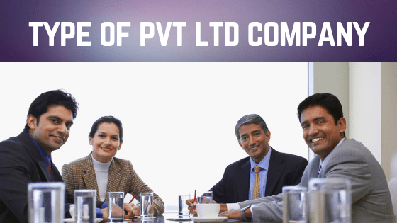 Types of PVT LTD Company 