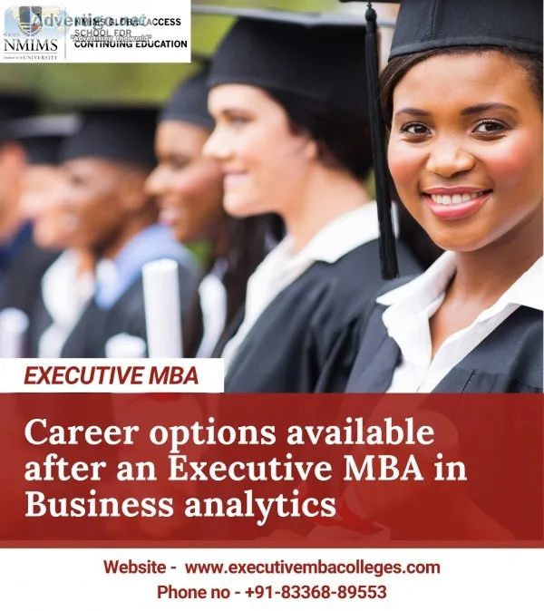 Career options available after an Executive MBA in Business anal