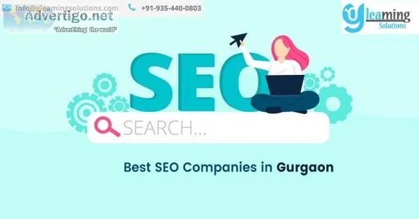 Looking the Best Professional SEO Company In Gurgaon