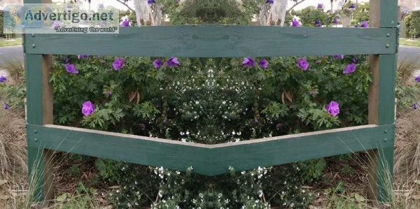 Meet the team of best horticulturist in Melbourne