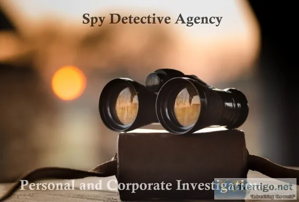 Detective Agency in Delhi  Spy Detective Agency