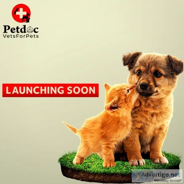 Pet clinic services near me