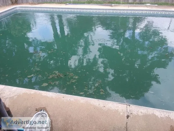 Kiefer Pool Services