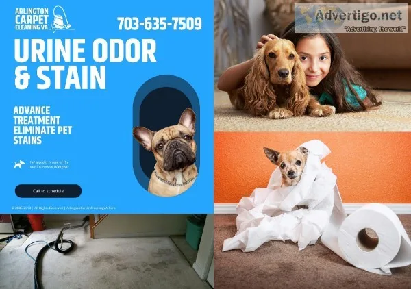 Let Your Carpets Slay All The Time With Arlington Carpet Cleanin