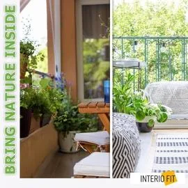 Luxury Interior Designer in Noida