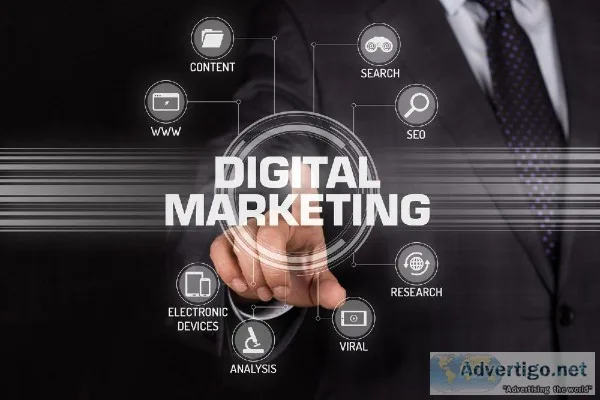 Find Professional Digital Marketing Company in Noida