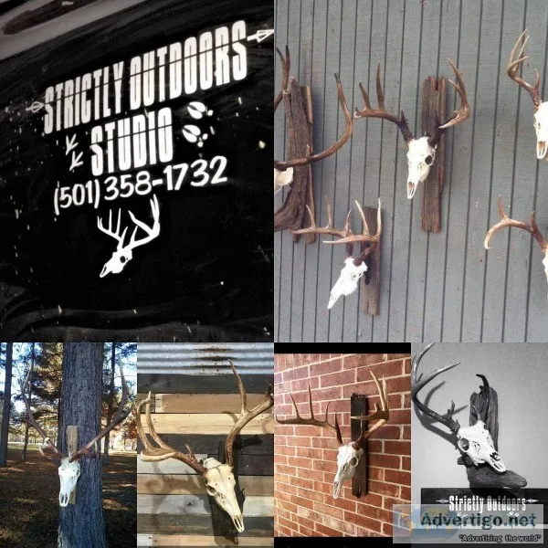 DEER PROCESSING AND EUROPEAN MOUNTING
