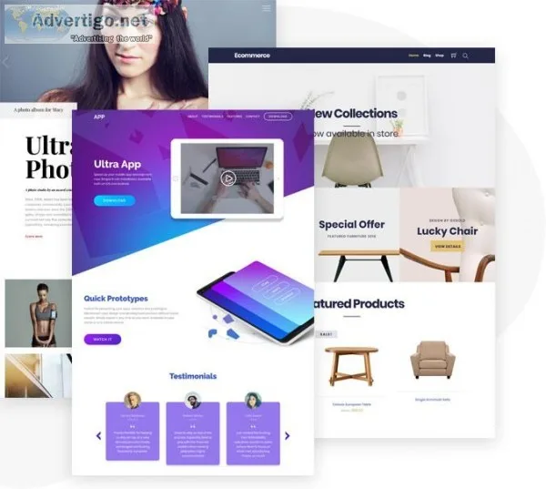 Website Designer in Gurgaon