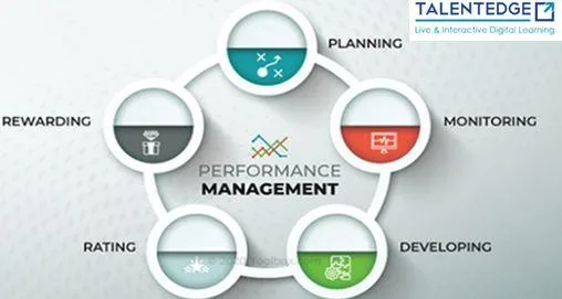 Performance Management Cycle Program