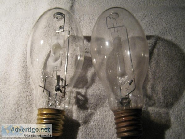 Two Phillips Metal Halide Bulbs &ndash 175 watt