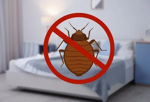 Get A Bed Bug Control Service at The Best Price