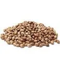 Strawberry Kush Feminized Seeds