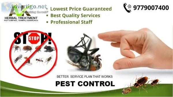 Pest Control Services in Mohali