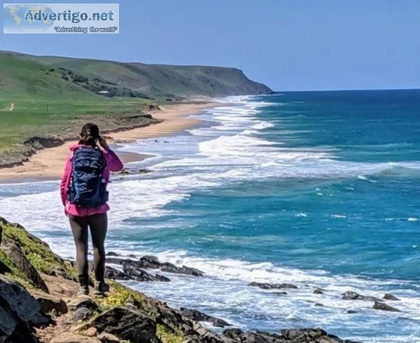 Southern Ocean Walk