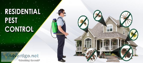 Best Cockroach Pest control company in Bradenton