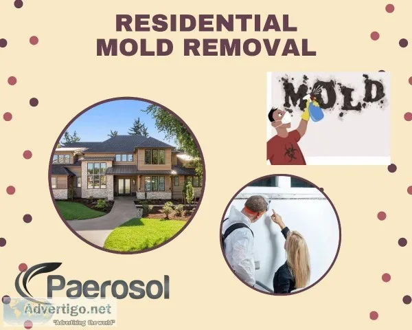 Residential Mold Removal
