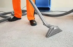 Choose professional carpet cleaner