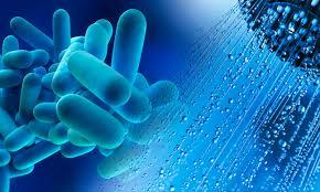 Looking for Legionella Risk Assessment