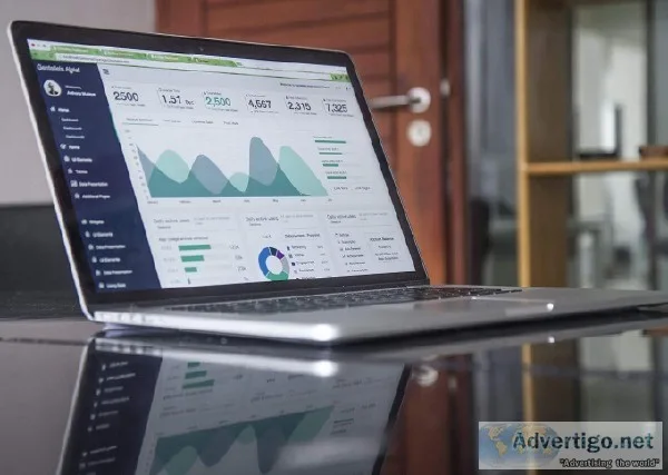 Seo Company in North Delhi