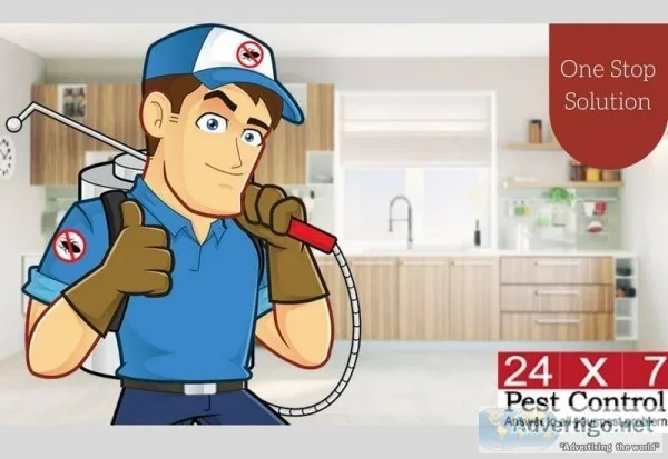 Best Termite control in Lucknow