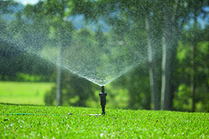 Lawn Fertilising in Sydney
