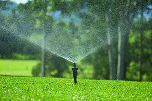 Lawn Fertilising in Sydney