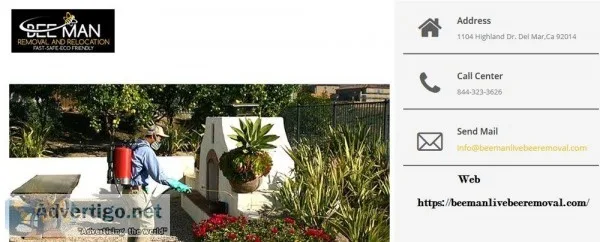Experienced Bee Exterminator in San Diego