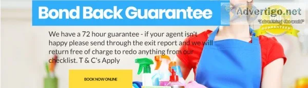 Web Developer Los Angeles CA