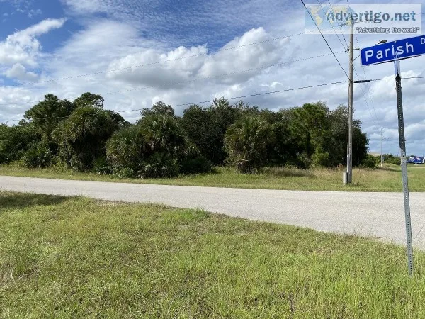 WOW CHEAP LOT IN FORT MYERS FL