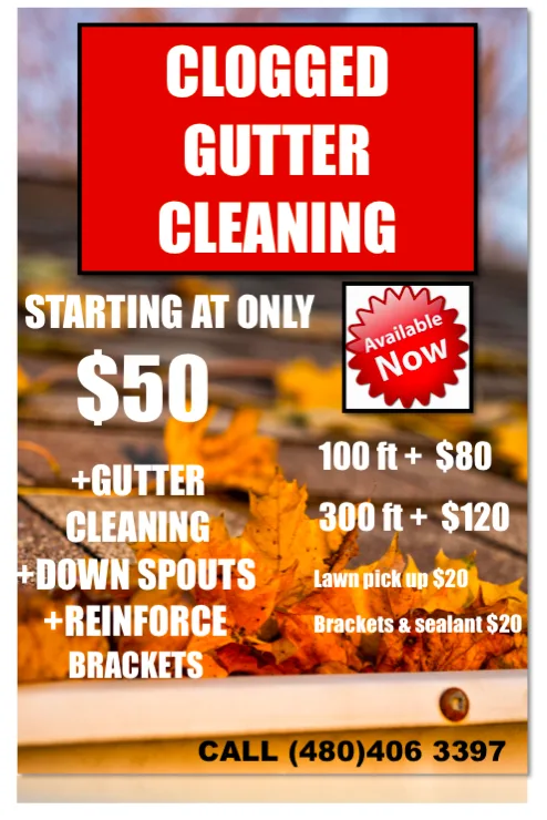 Gutter Cleaning Services