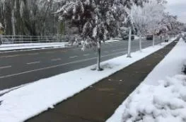 Best Snow Removal Services in Surrey