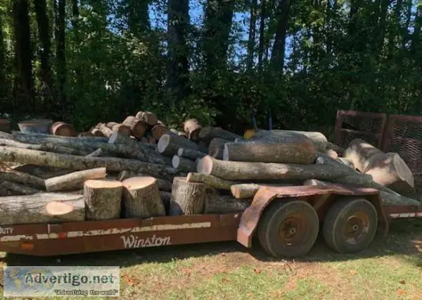 Log Splitting Services in Atlanta Georgia for Fallen Trees