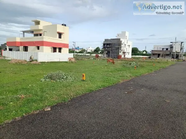 Fast Developed Area Plots For Sale in Trichy