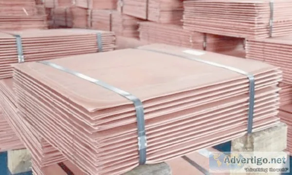 Metal Distributors In India  Anerionline.com