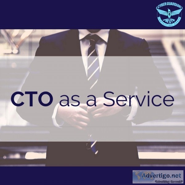 Professional CTO Advisory Services