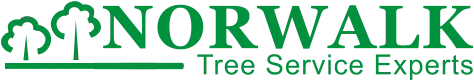 Norwalk Tree Service Experts