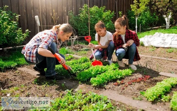 Lawn Service in Los Angeles - LOS ANGELES LANDSCAPING