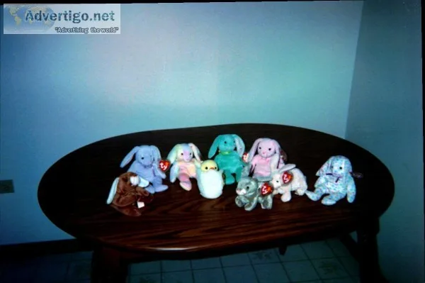 TY Beanie Baby Bunnies