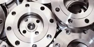 Stainless Steel 316 Flanges