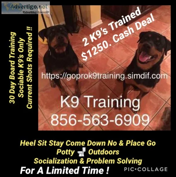 We control your dog 